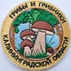 ГРИБНАЯ БАНДА КАЛИНИНГРАДА