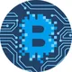 Crypto / NFT / Business
