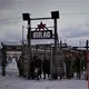 Чат-Политиков Экономистов Военных экспертов