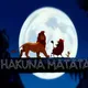TALABA ijara eʼlonlari (HAKUNA MATATA Toshkent)