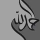 حراج المدينة النبوية هرم التميز