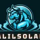 halilsol