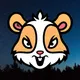 Hamstercoin Duyuru