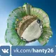 Ханты 26