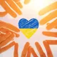 Помощь Украинцам в городах Кёльн и Бонн 🇺🇦🇺🇦🇺🇦