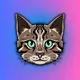 Hemule - Vitalik's Cat