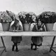 Флористы Florist 🌷 Вакансии и Кандидаты | headhunter 🌸 Работа в Цветочной Сфере