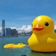 Singapore - Hong Kong (Macau) Travel Group 🇸🇬🇭🇰 🇲🇴