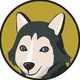 Honshu Inu 🐺 Indonesia 🇮🇩