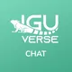 IguVerse Chats