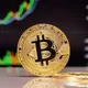TRADE BITCOIN BEST TRADING IN PARTNERSHIP WITH COINMAMA 🇬🇧🇺🇾🇹🇱🏴󠁧󠁢󠁷󠁬󠁳󠁿🇹🇬🇻🇦🇪🇭🇹🇬🏴󠁧󠁢󠁳󠁣󠁴󠁿🇹🇱🇻🇳🇹🇷🇺🇸🇹🇰🇹🇼🇾🇪🇹🇬💵💵💵💵