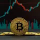Indian Crypto Mania