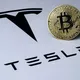 TESLA TRADING INVESTMENT 📊