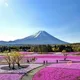 Japanese Language for beginners 🇯🇵🌸
