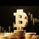 FX AND CRYPTO CURRENCY TRADE INVESTMENT