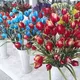 کادویی  مادر