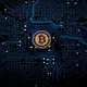 Crypto Satoshi Nakamoto