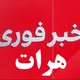 خبرفوری هرات
