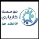 گروه فعالیتهای شغلی با مجوز از سازمان مربوطه