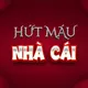 HÚT MÁU NHÀ CÁI