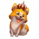 📣 KingCorgi Chain | Offcial Announcement