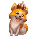 KingCorgi Chain | Global Community