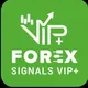 FOREX FREE SIGNALS ROOM