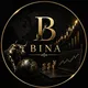 BINA AB