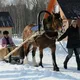 Нескучный движ в КЛ