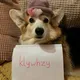 клавзи