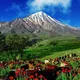 کهن دیار·#برای_ایران