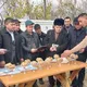 БОҒБОН БОДОМЧИЛИК ВА КЎЧАТЧИЛИК