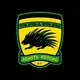 KUMASI ASANTE KOTOKO SC🇦🇹🇦🇹🇬🇭