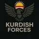 Kurdish forces