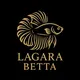 Bid Lagara Betta 👨‍💻
