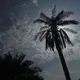 من هنا نبدأ وفي الجنة نلتقي ، رمضان كريم ، اذكار ، ادعية ، قران كريم ، مكة المكرمة ، حلقات تحفيظ القران ، ستوريات 📿