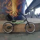 Лигерад Пифагор