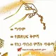 ግጥም🥰 ልጅ ወርቅነህ... ✍ ( lij werkneh )