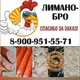🐣Лимано-Бро🐓
