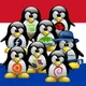 Linux Paraguay