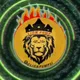 🚀 LION PUMP 🚀