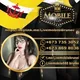 LIVEMOBILE888 BRUNEI 🇧🇳
