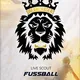 DC - LIVE SCOUT FUßBALL - AUSTRIA