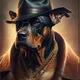 MR DOG