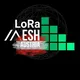 LoRa Mesh Austria