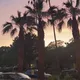 Los Angeles F1 Öğrencileri