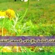 نقاش المعهد التقني