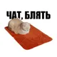 ЗНАКОМСТВА Г. СЫКТЫВКАР | Чат 🥰