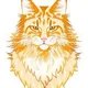 Maine Coon Bsc | Official Chat