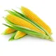 МАККА ЖУХОРИЧИЛАР🌾🌽🌽🌽🌾